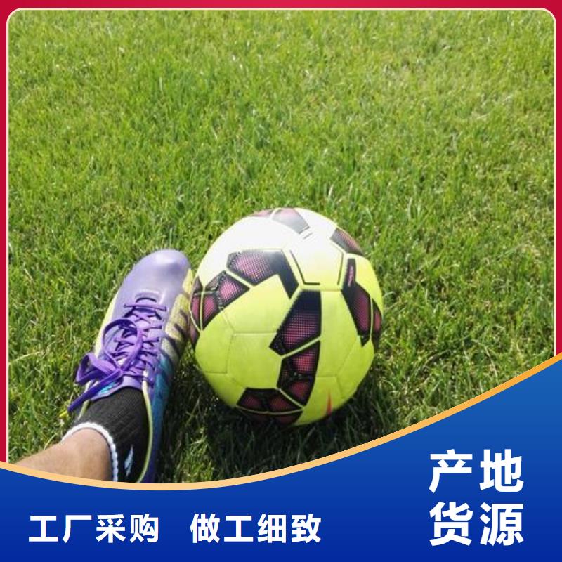塑胶跑道人造草坪批发质量牢靠
