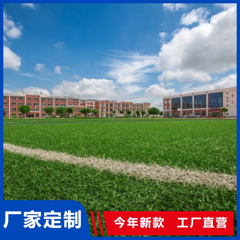 塑胶跑道_塑胶跑道厂家优质工艺
