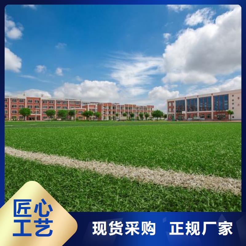 塑胶跑道,塑胶跑道施工生产安装