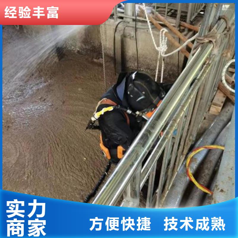 水下作业【管道气囊封堵公司】匠心品质