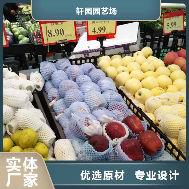红颜草莓视频-东丰|东辽|四平|通化|长春|延边|吉林轩园红颜草莓_ 轩园园艺场(辽源市分公司)
