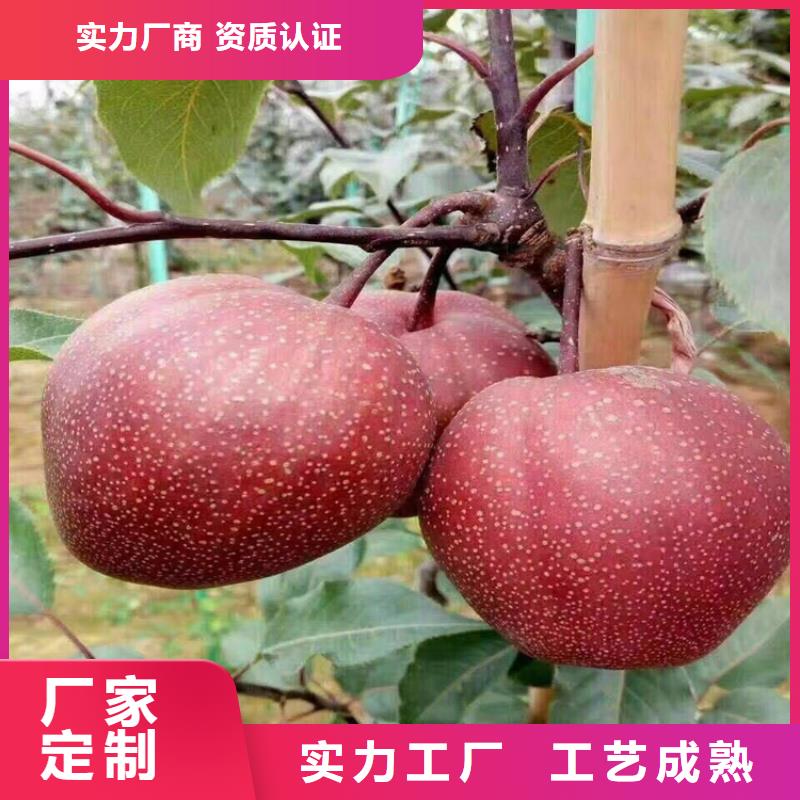 红颜草莓视频-红颜草莓-黑龙江省鹤岗市工农|萝北|绥化|佳木斯|大兴安岭|牡丹江|哈尔滨(此地)服务商