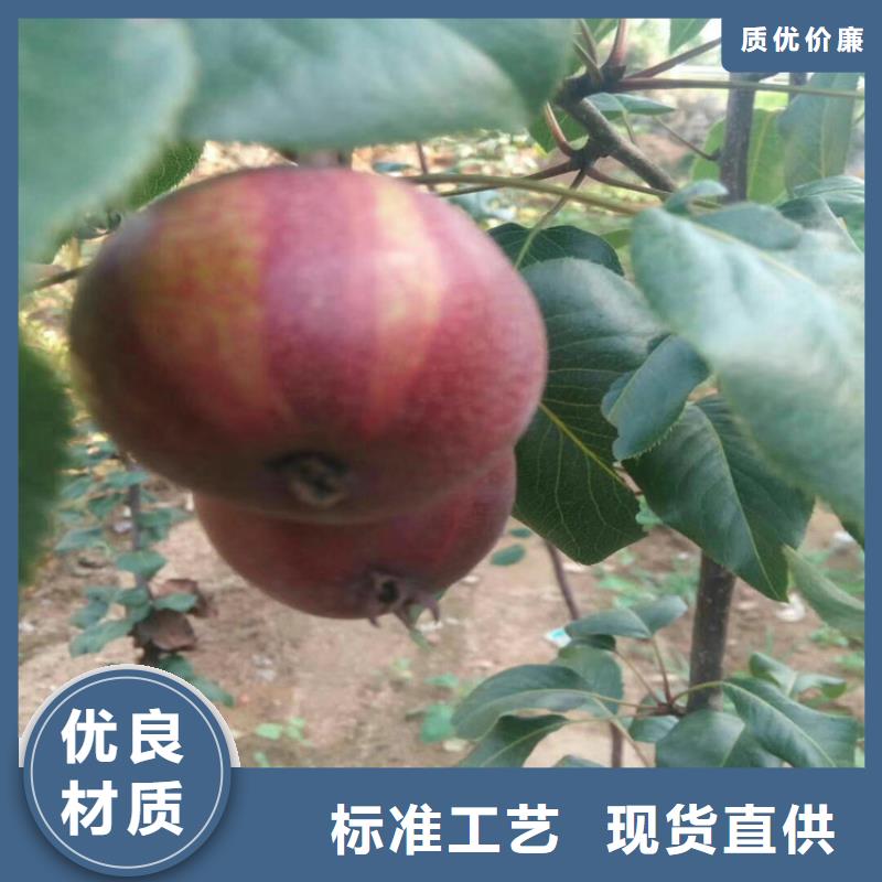 红颜草莓视频-红颜草莓-黑龙江省鹤岗市工农|萝北|绥化|佳木斯|大兴安岭|牡丹江|哈尔滨(此地)服务商