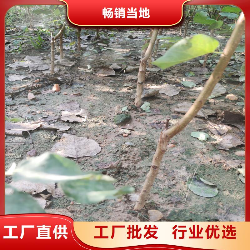 红颜草莓视频-红颜草莓-黑龙江省鹤岗市工农|萝北|绥化|佳木斯|大兴安岭|牡丹江|哈尔滨(此地)服务商