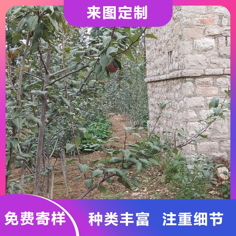 红颜草莓视频-红颜草莓-黑龙江省鹤岗市工农|萝北|绥化|佳木斯|大兴安岭|牡丹江|哈尔滨(此地)服务商