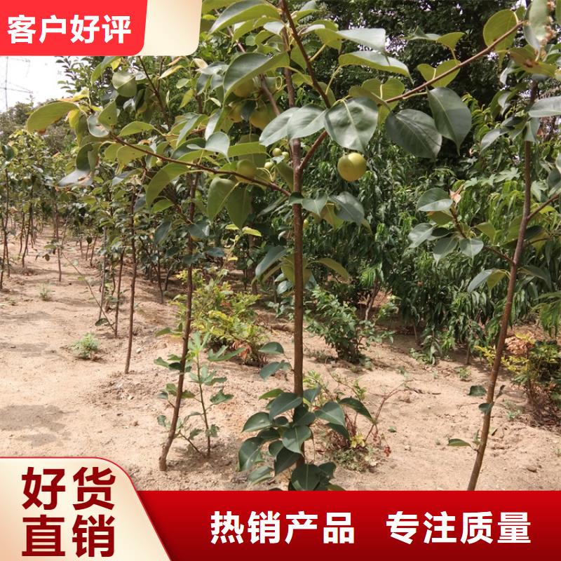 红颜草莓视频-红颜草莓-黑龙江省鹤岗市工农|萝北|绥化|佳木斯|大兴安岭|牡丹江|哈尔滨(此地)服务商