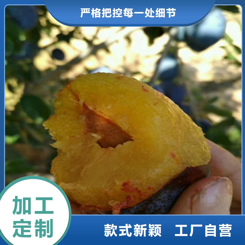 红颜草莓视频-红颜草莓-广东省湛江市雷州|遂溪|中山|惠州|肇庆|江门|梅州|阳江|茂名当地货源