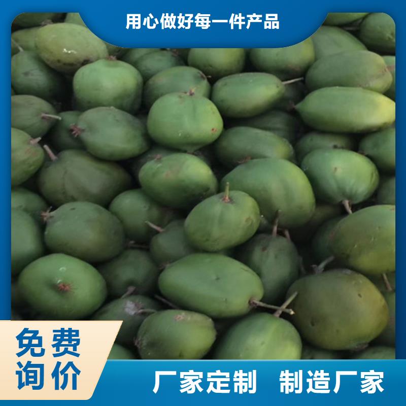 猕猴桃苹果苗生产加工