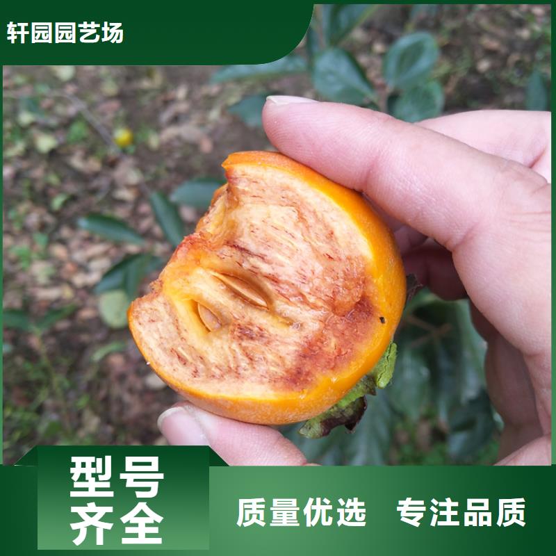 红颜草莓视频-四川省内江市轩园红颜草莓可服务区域隆昌|资中|自贡|成都|乐山|德阳等