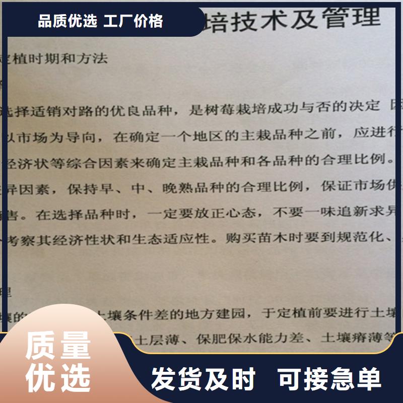 树莓,板栗苗规格齐全实力厂家