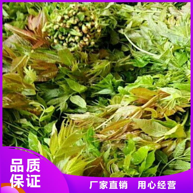 红颜草莓视频-红颜草莓-湖南省岳阳市平江|汨罗|衡阳|株洲|邵阳|怀化(该地)品牌