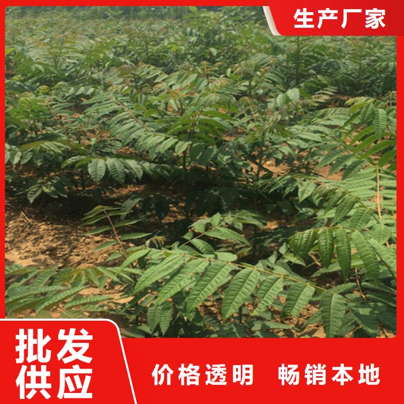 红颜草莓视频-红颜草莓-湖南省岳阳市平江|汨罗|衡阳|株洲|邵阳|怀化(该地)品牌