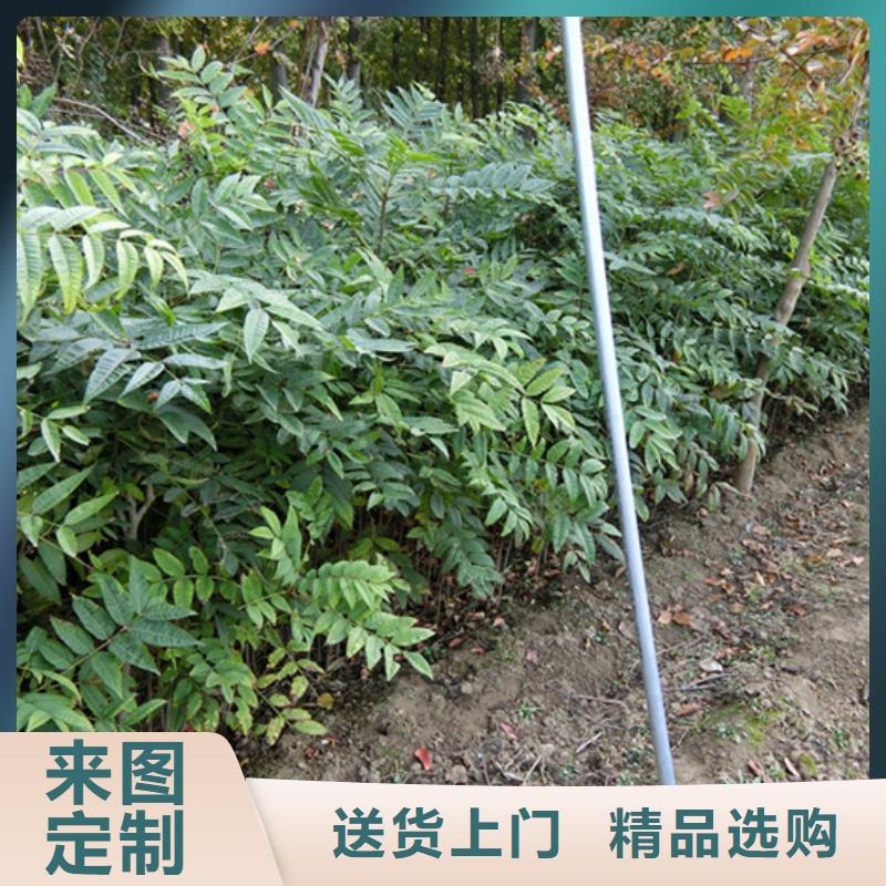 红颜草莓视频-红颜草莓-湖南省岳阳市平江|汨罗|衡阳|株洲|邵阳|怀化(该地)品牌