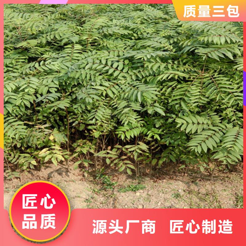 红颜草莓视频-红颜草莓-湖南省岳阳市平江|汨罗|衡阳|株洲|邵阳|怀化(该地)品牌