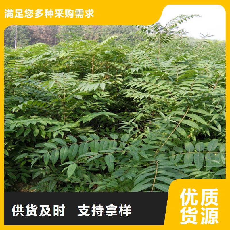 红颜草莓视频-红颜草莓-湖南省岳阳市平江|汨罗|衡阳|株洲|邵阳|怀化(该地)品牌