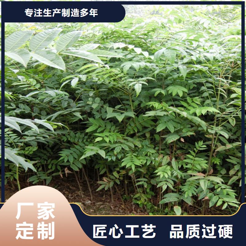 红颜草莓视频-红颜草莓-湖南省岳阳市平江|汨罗|衡阳|株洲|邵阳|怀化(该地)品牌