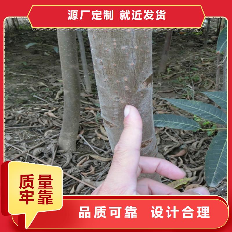 红颜草莓视频-红颜草莓-湖南省岳阳市平江|汨罗|衡阳|株洲|邵阳|怀化(该地)品牌