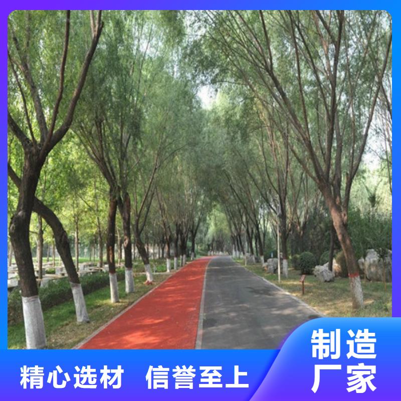 【健身步道】PVC室内地坪定制批发