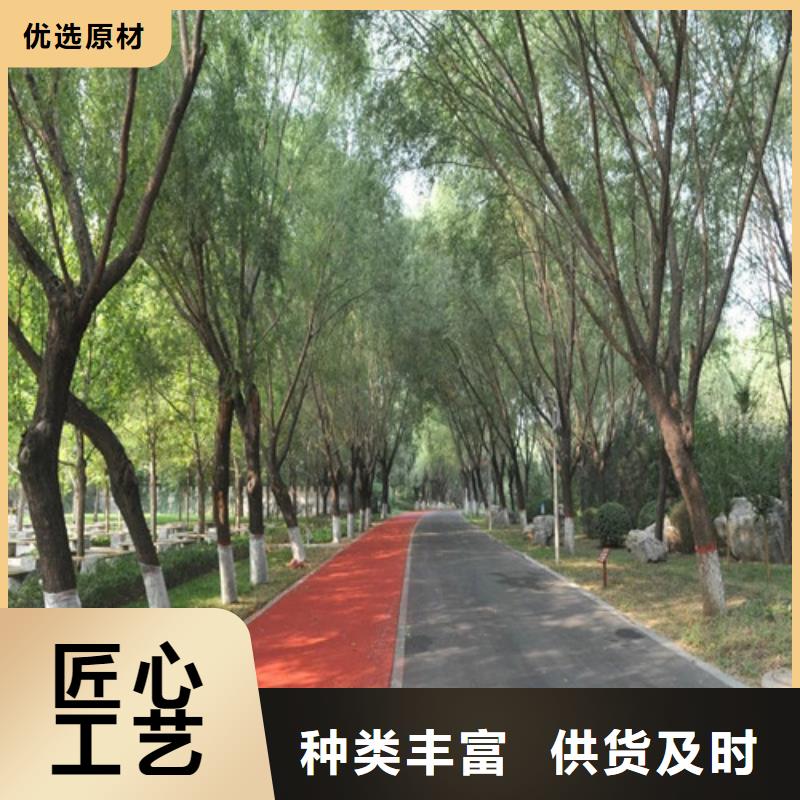 健身步道-幼儿园地坪多种规格可选