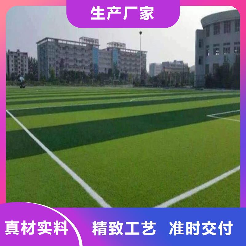 人造草坪,健身步道做工细致