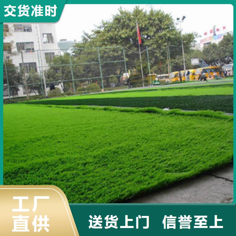 人造草坪塑胶跑道支持定制加工