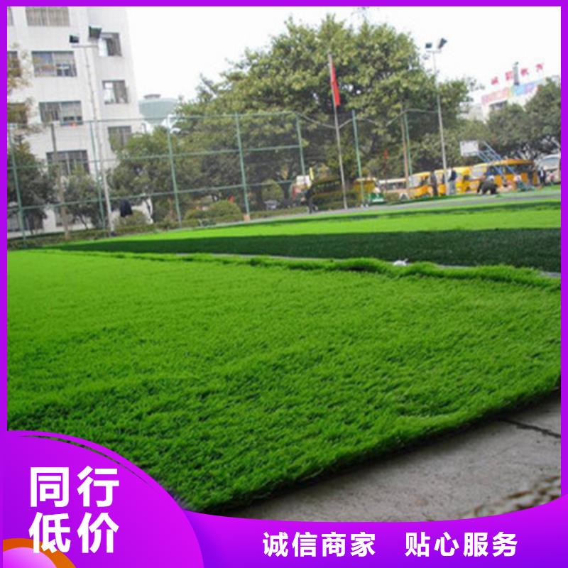 人造草坪,健身步道从源头保证品质
