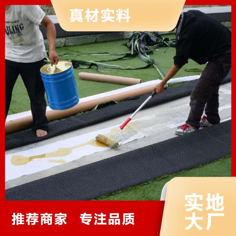 【人造草坪】硅PU球场优质工艺