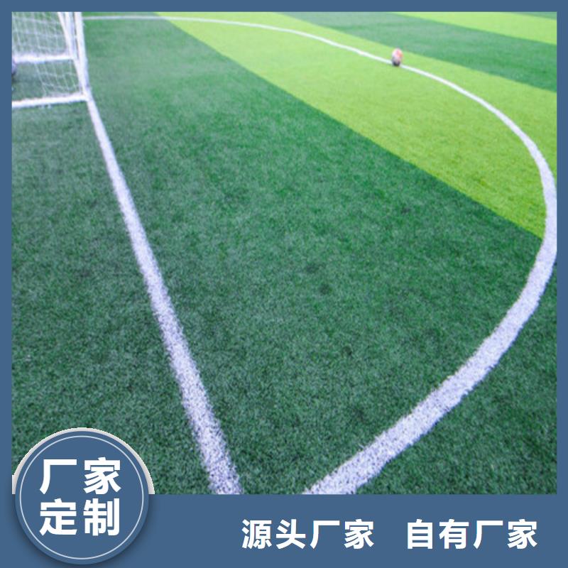 【人造草坪】硅PU球场优质工艺