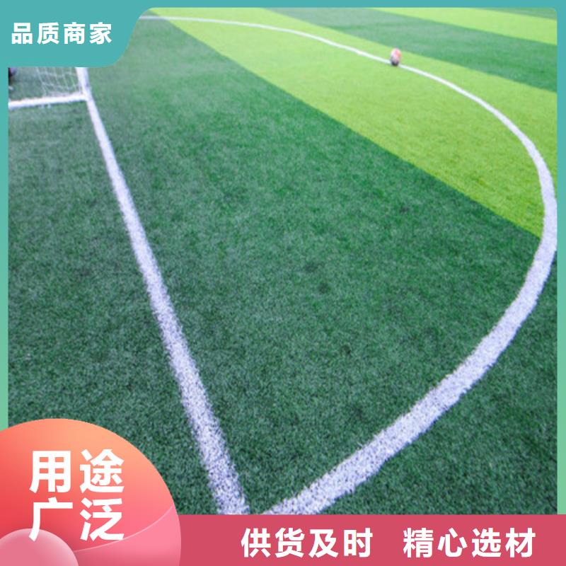 人造草坪塑胶球场满足多种行业需求