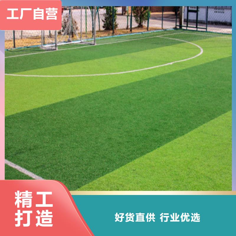 人造草坪,体育馆塑胶跑道精工制作