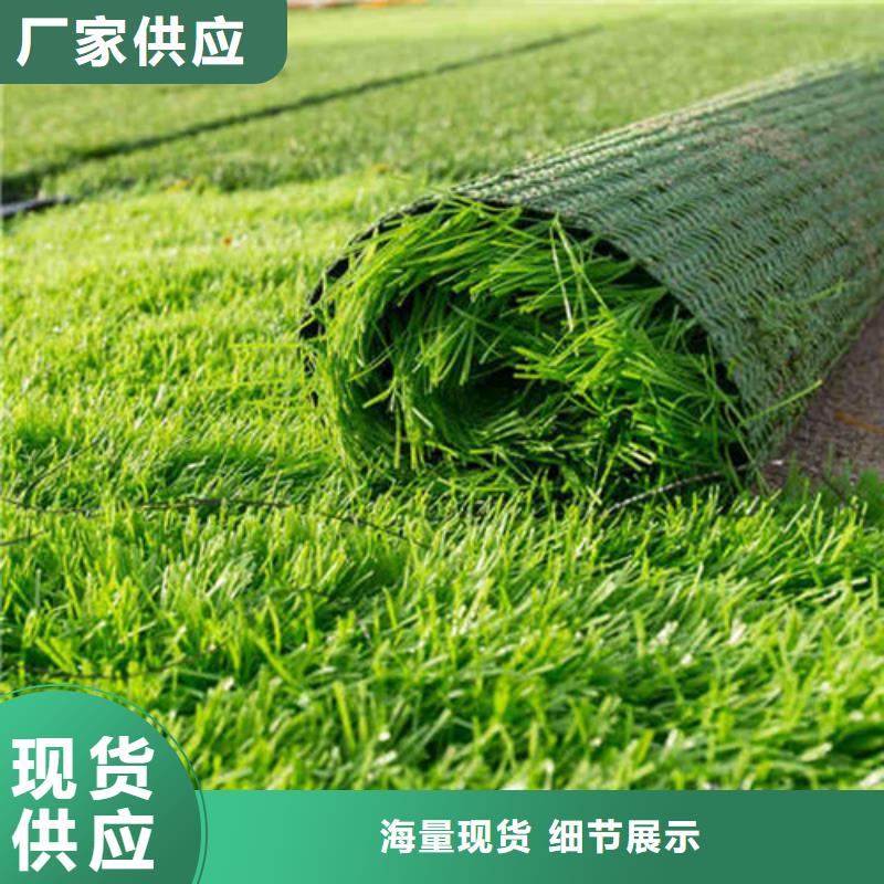  人造草坪商家直供