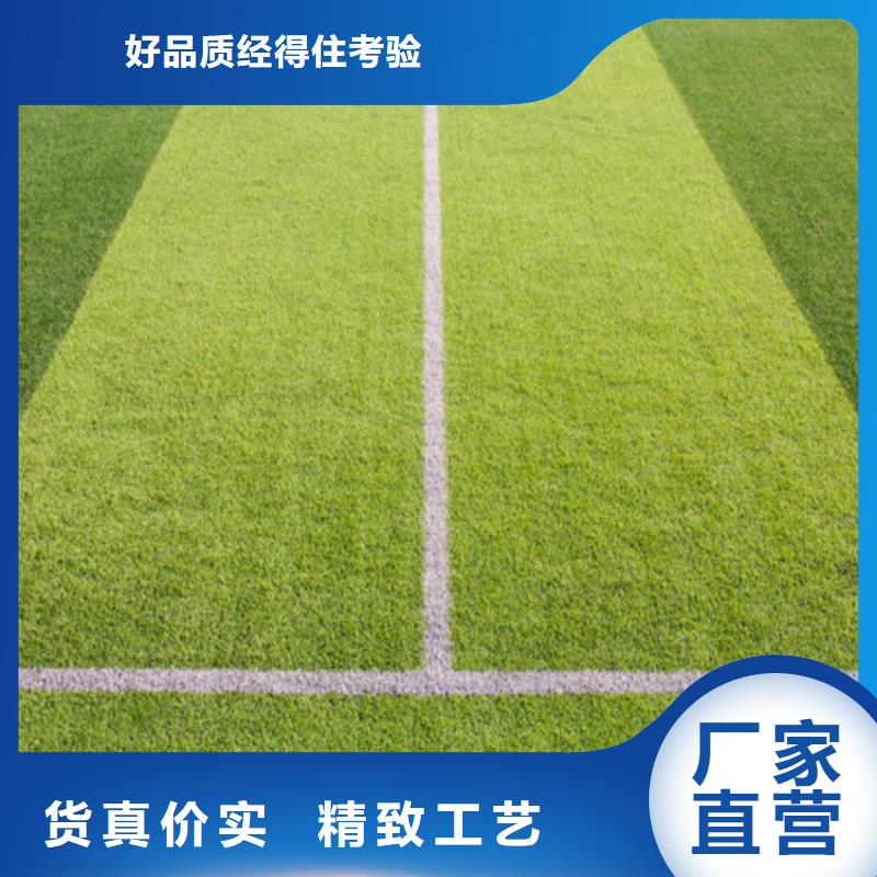 人造草坪塑胶跑道支持定制加工