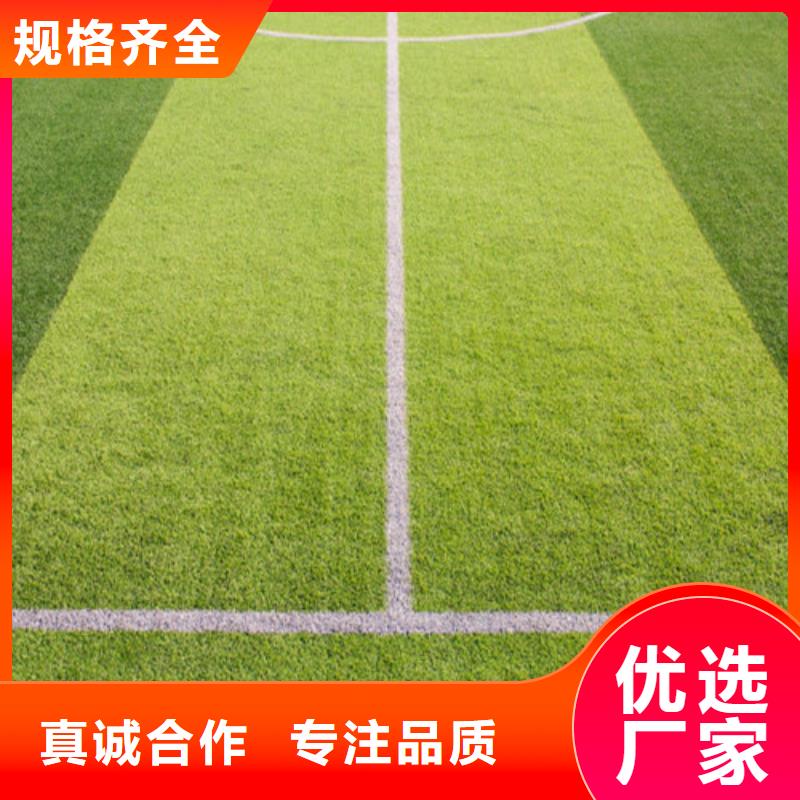 人造草坪塑胶跑道选择大厂家省事省心
