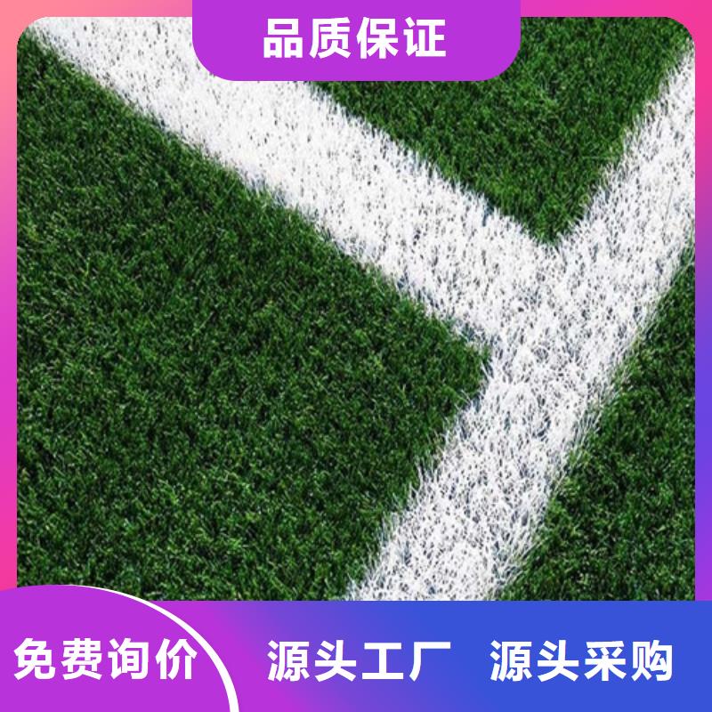  人造草坪老品牌厂家