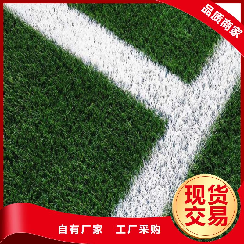  人造草坪厂家直销值得选择