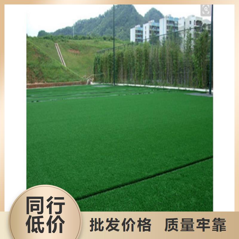 人造草坪塑胶跑道一站式采购商
