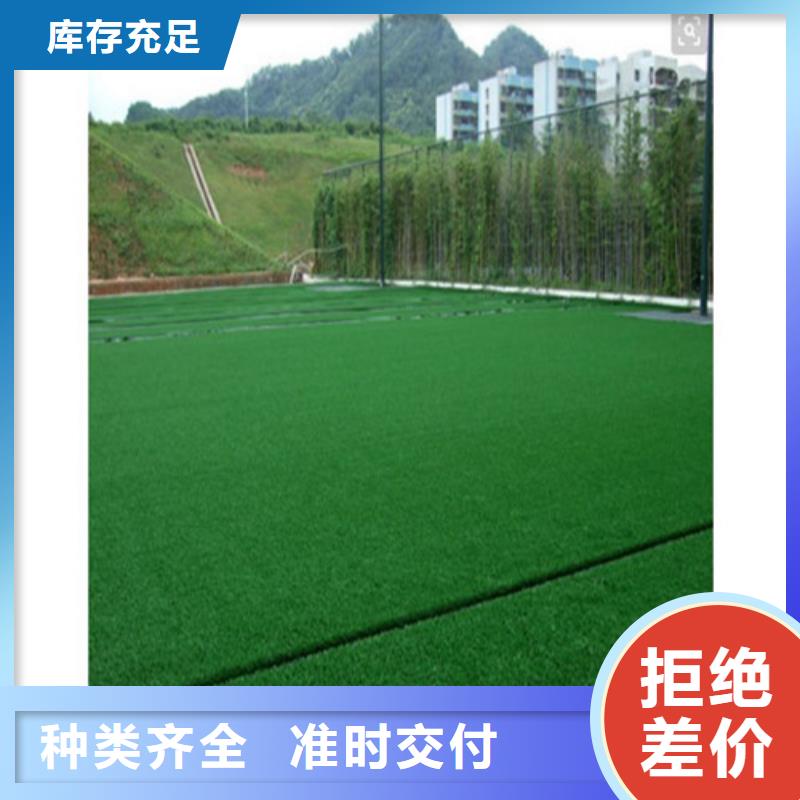 人造草坪-塑胶跑道厂家实力雄厚