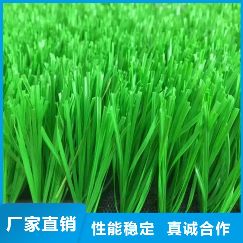人造草坪硅PU球场源头厂商