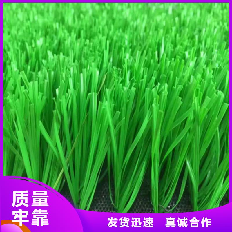  人造草坪厂家直销值得选择