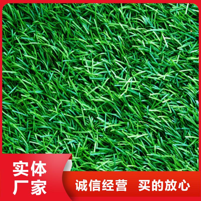人造草坪_塑胶球场品牌企业