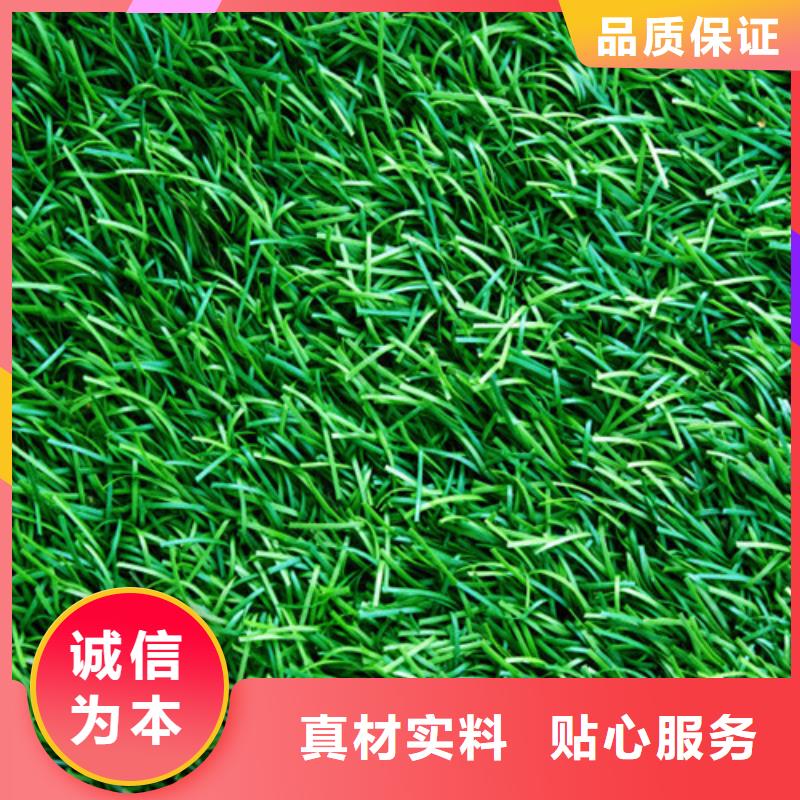 人造草坪塑胶跑道施工用心经营