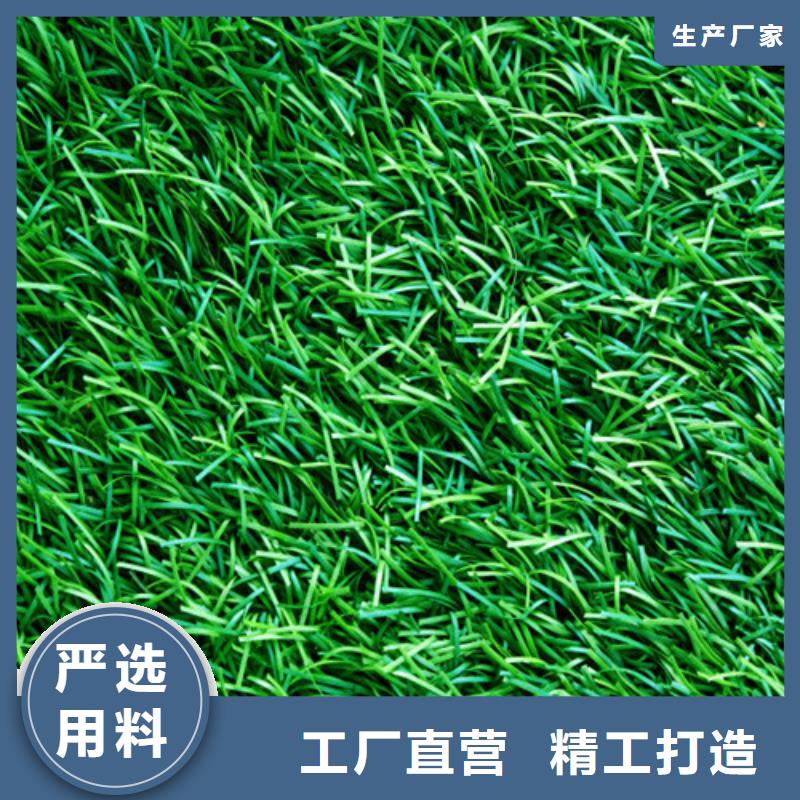 人造草坪,荧光发光跑道发货迅速