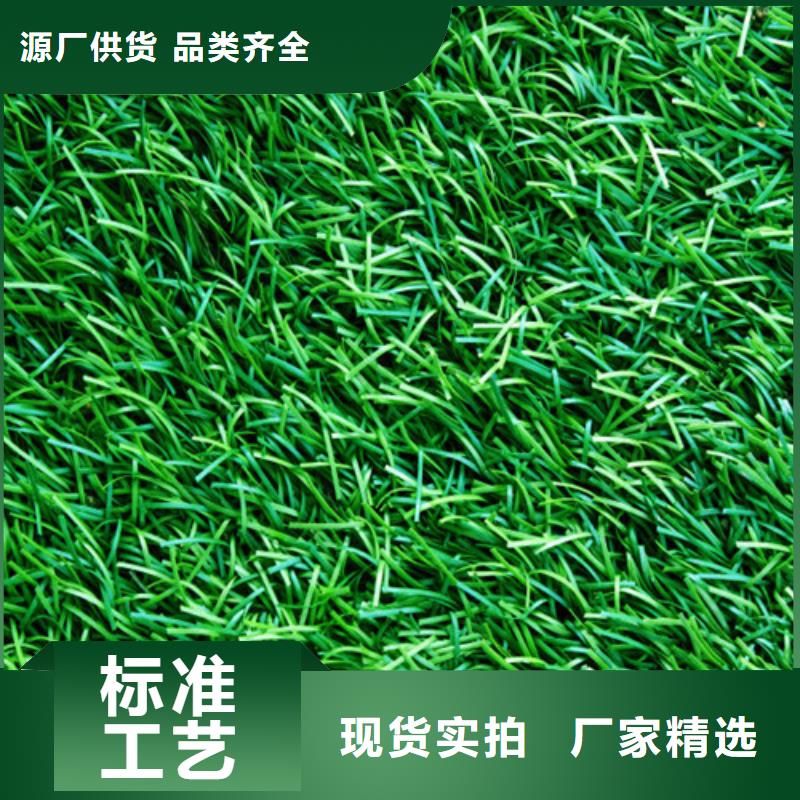 人造草坪塑胶球场满足多种行业需求