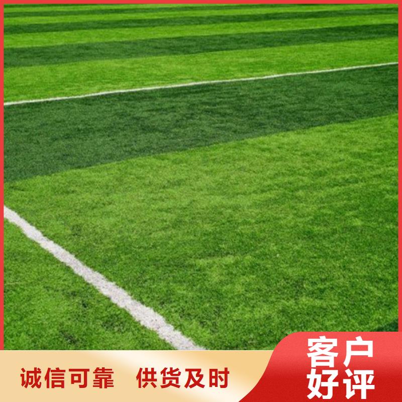 人造草坪硅PU球场源头厂商