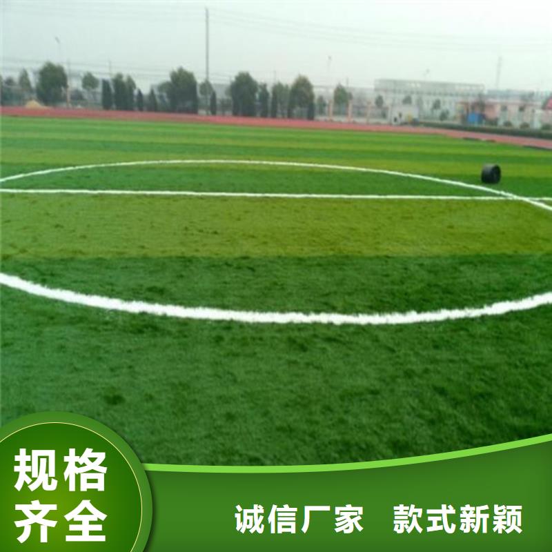 人造草坪塑胶跑道支持定制加工