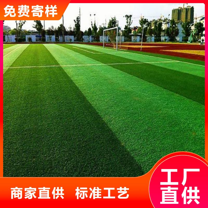 人造草坪 学校体育场热销产品