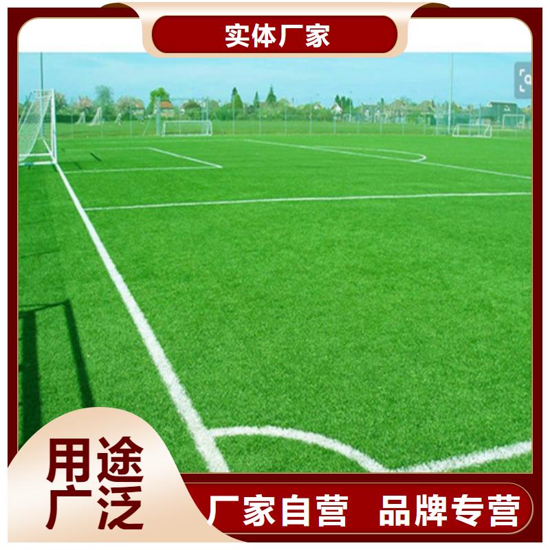 人造草坪-复合型塑胶EPDM让利客户