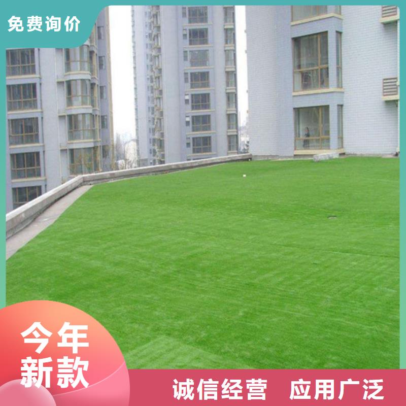 硅PU球场视频-硅PU球场|吉林省延边市|龙井|敦化|辽源|四平|吉林|通化|长春