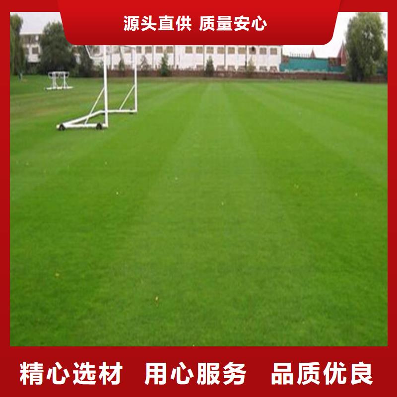 人造草坪塑胶跑道一站式采购商