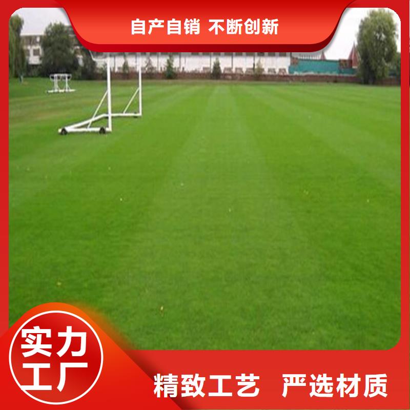 硅PU球场视频-硅PU球场_广西省柳州市市场覆盖柳江|柳城|贺州|防城港|梧州|北海|桂林等